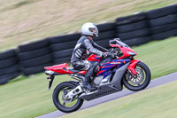 PJ-Motorsport-2019;anglesey-no-limits-trackday;anglesey-photographs;anglesey-trackday-photographs;enduro-digital-images;event-digital-images;eventdigitalimages;no-limits-trackdays;peter-wileman-photography;racing-digital-images;trac-mon;trackday-digital-images;trackday-photos;ty-croes